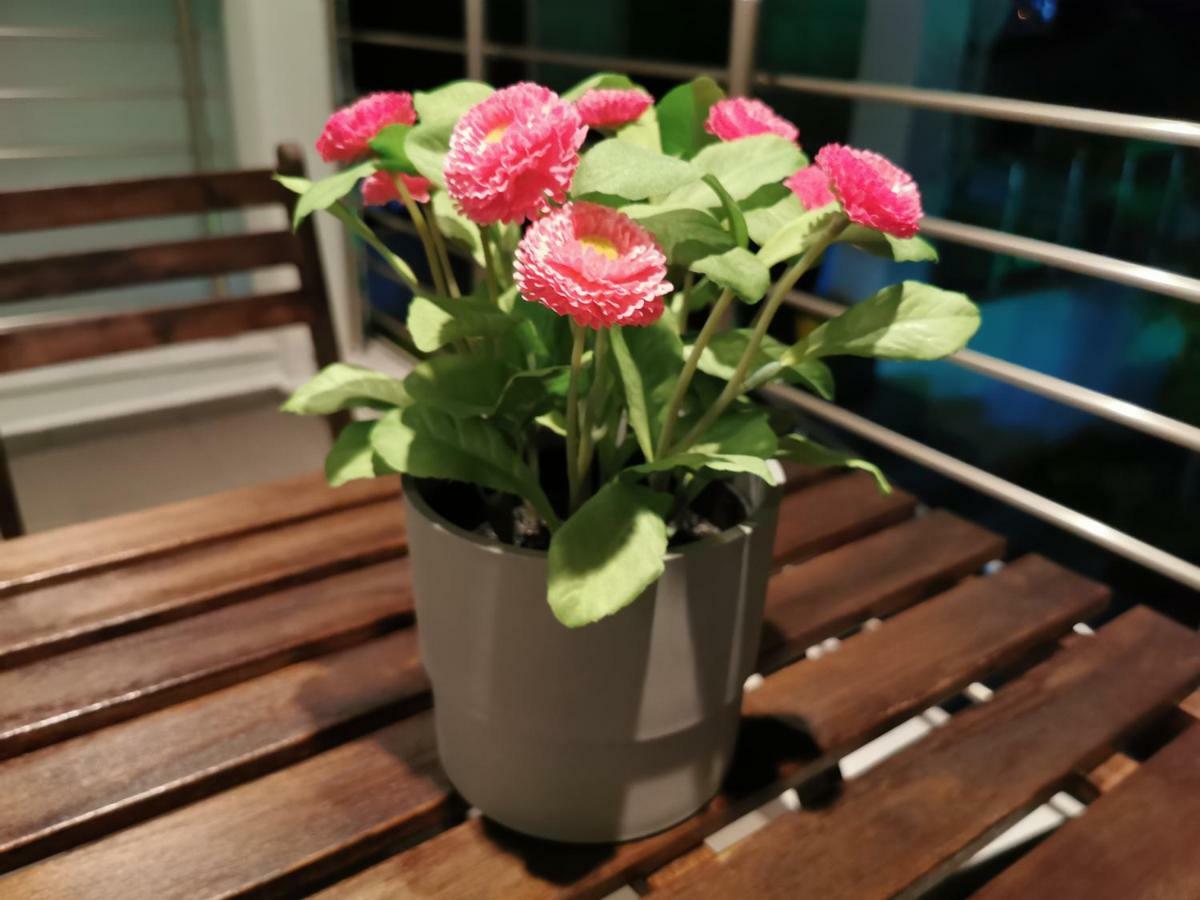 Pall'S Minimal Apartment Nea Peramos  Ngoại thất bức ảnh